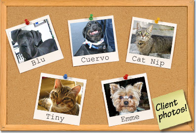 Photo: Check out Loving Pet Services Pet Photos