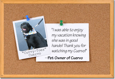 Photo: Loving Pet Services Testimonial
