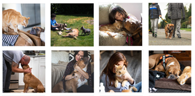Photos: Loving Pet Services Carmichael Family